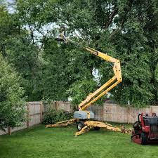 Professional Tree Removal and Landscaping Services in New Vienna, OH